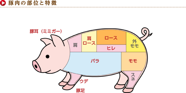 豚肉の部位と特徴